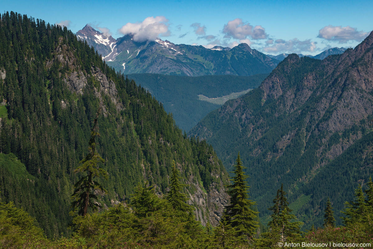 Cheam Peak from Slesse Memorial Trail