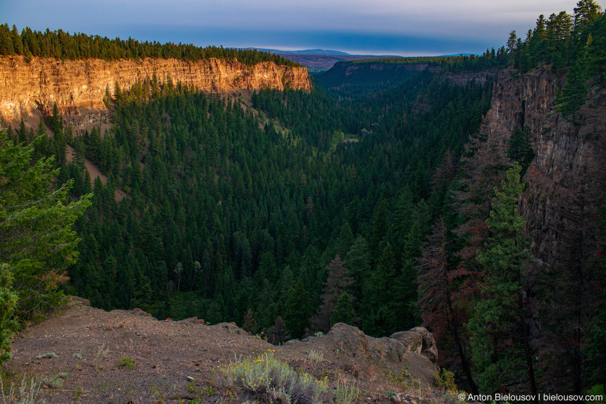 Chasm Canyon