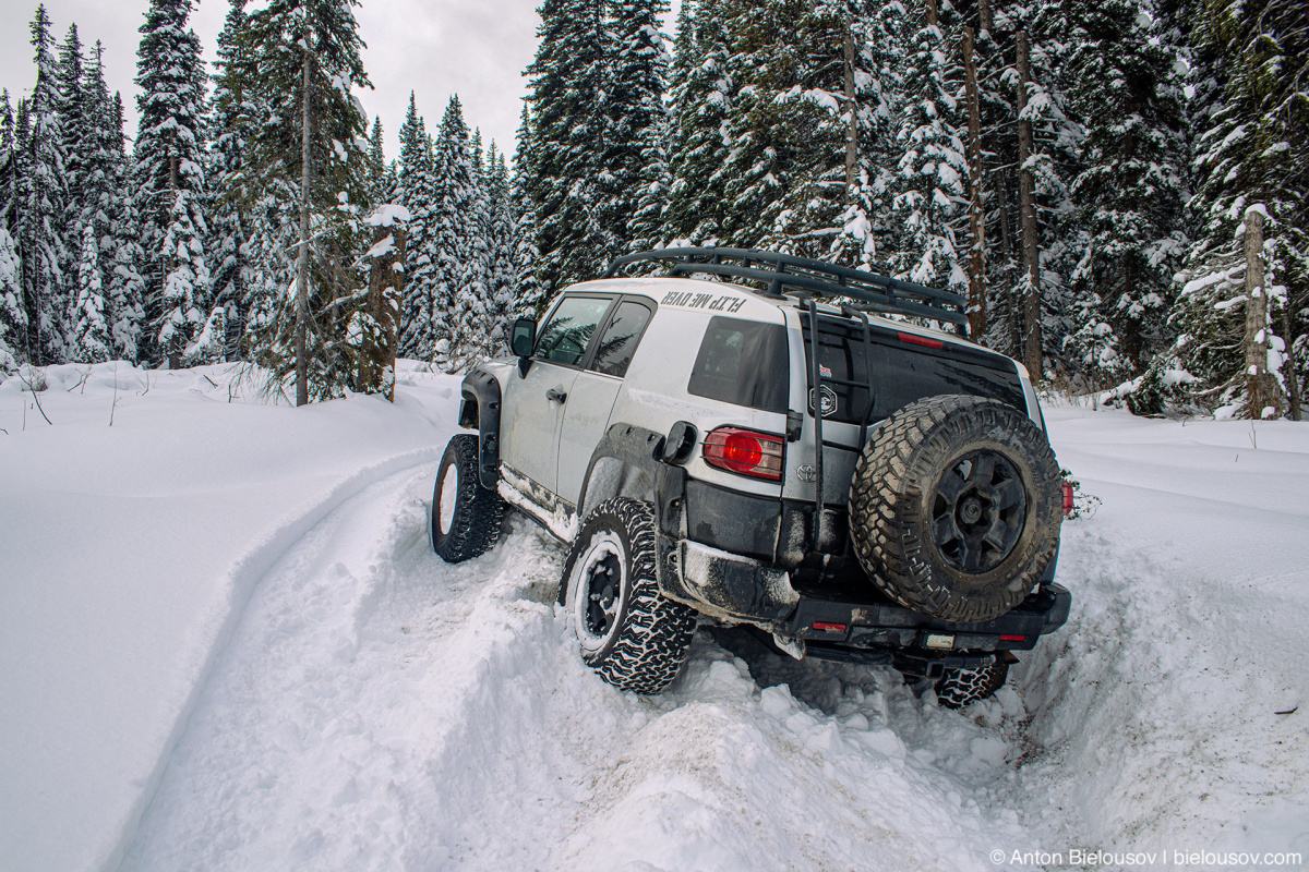 FJ Cruiser Whipsaw Trail