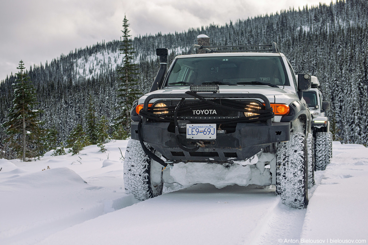 FJ Cruiser Whipsaw Trail