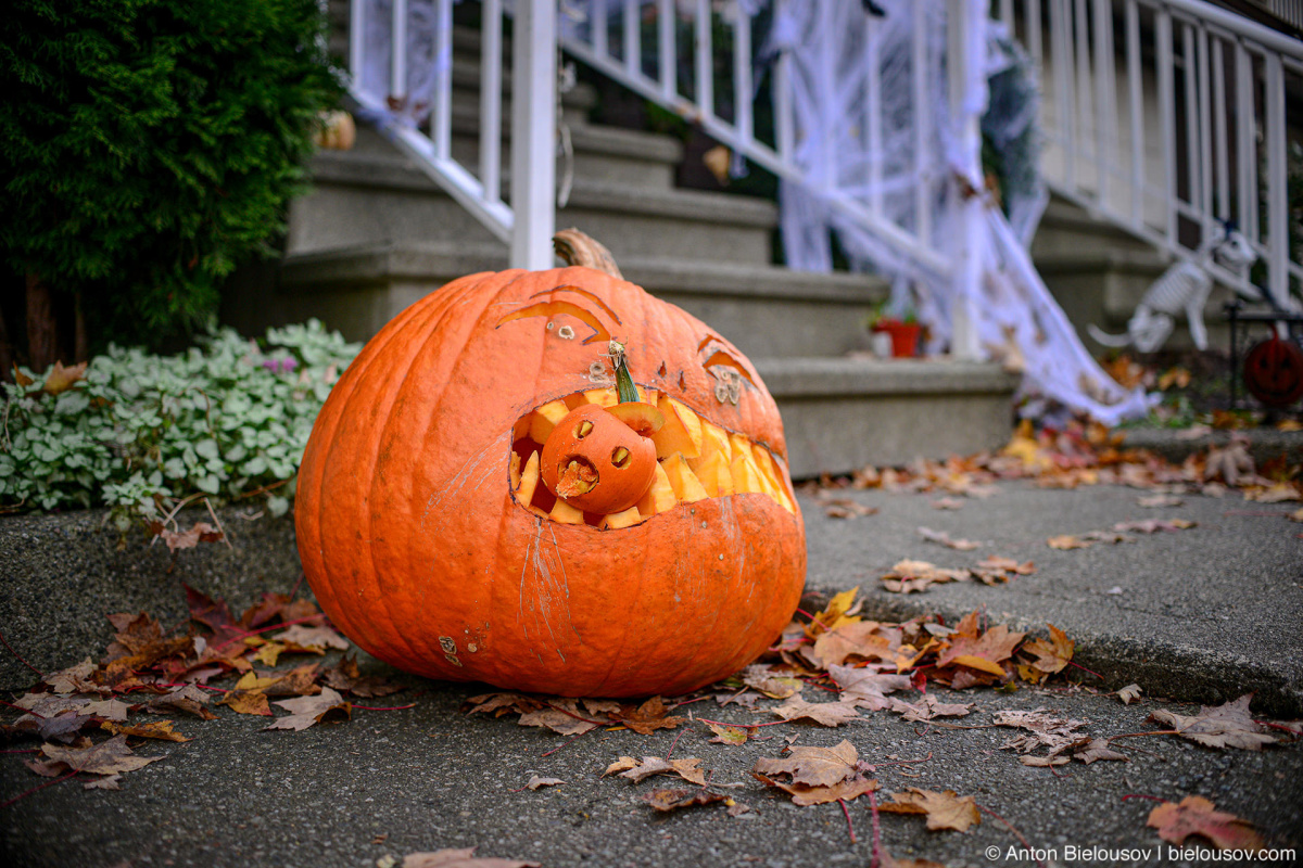 А у нас в Канаде: Хэллоуин в условиях пандемии: halloween pumpkin eating pumpkin