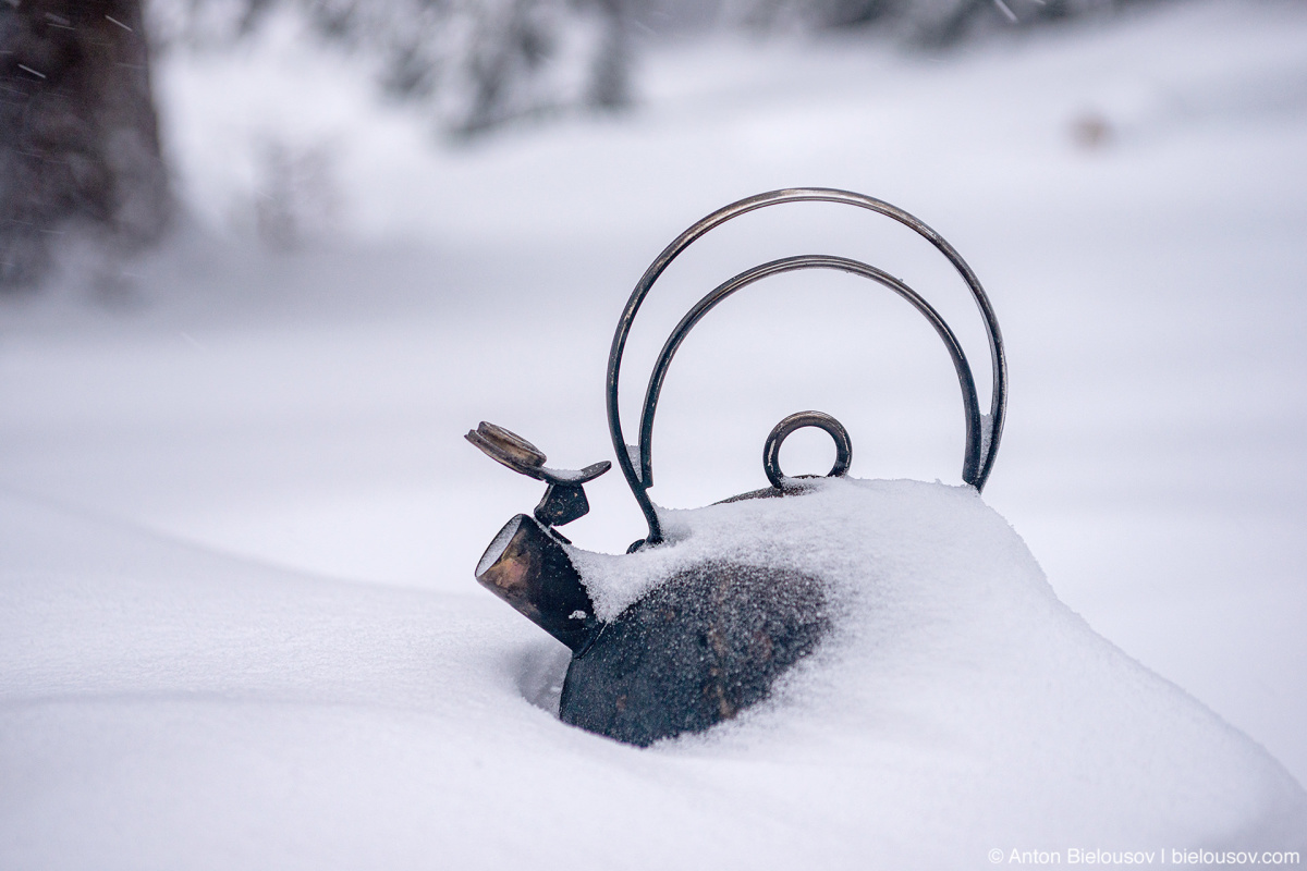 Чайник в снегу — Whipsaw Trail