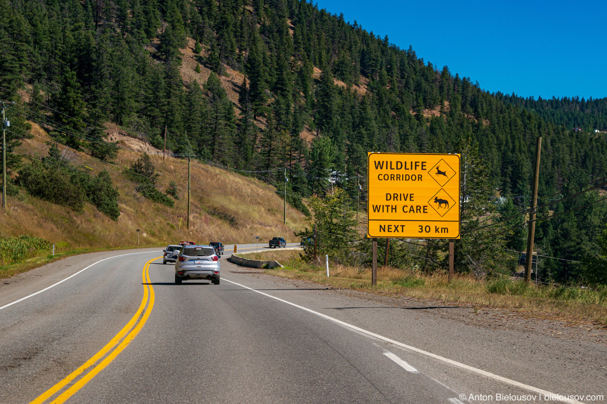 Wildlife Corridor sign