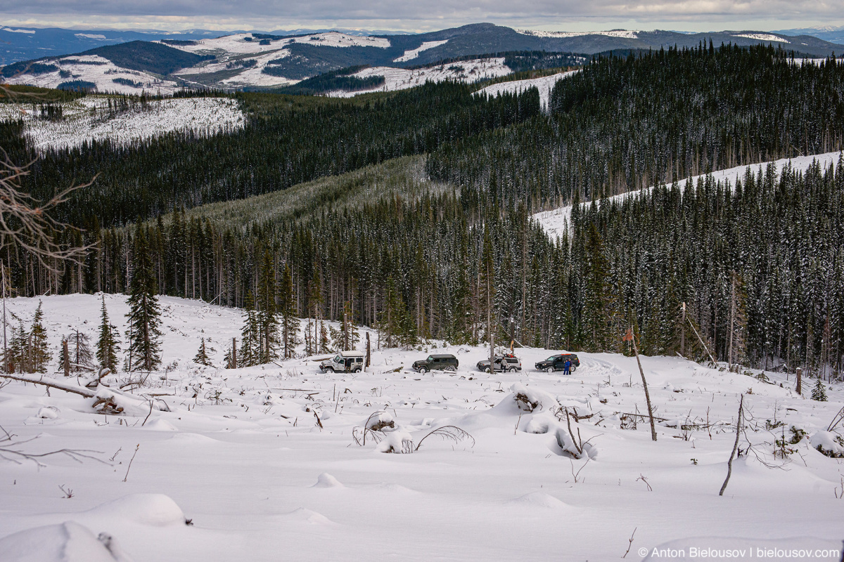 Whipsaw trail