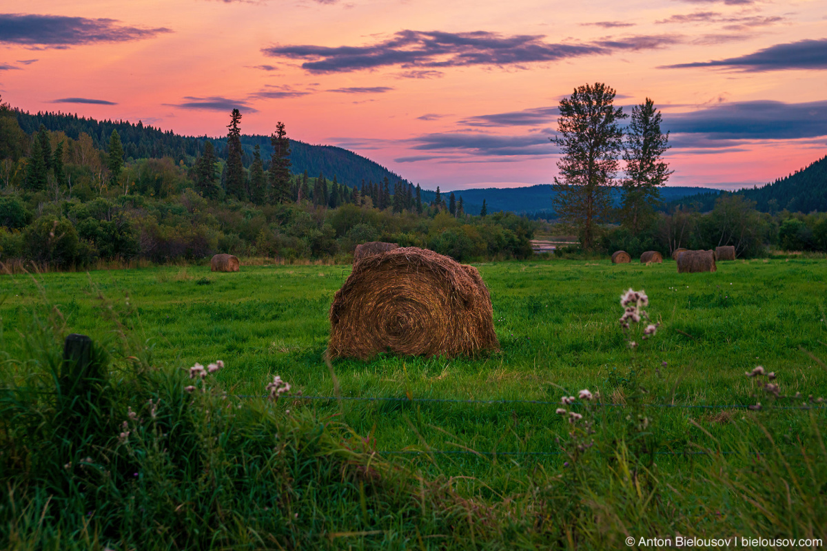 Haystack