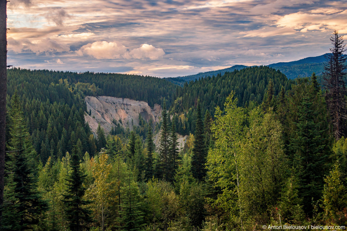 Bullion Pit