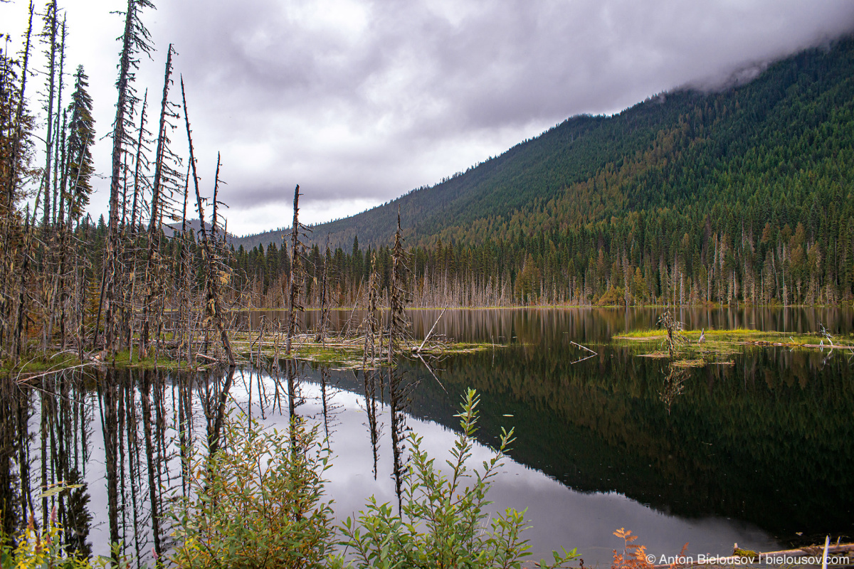 Cariboo Lake