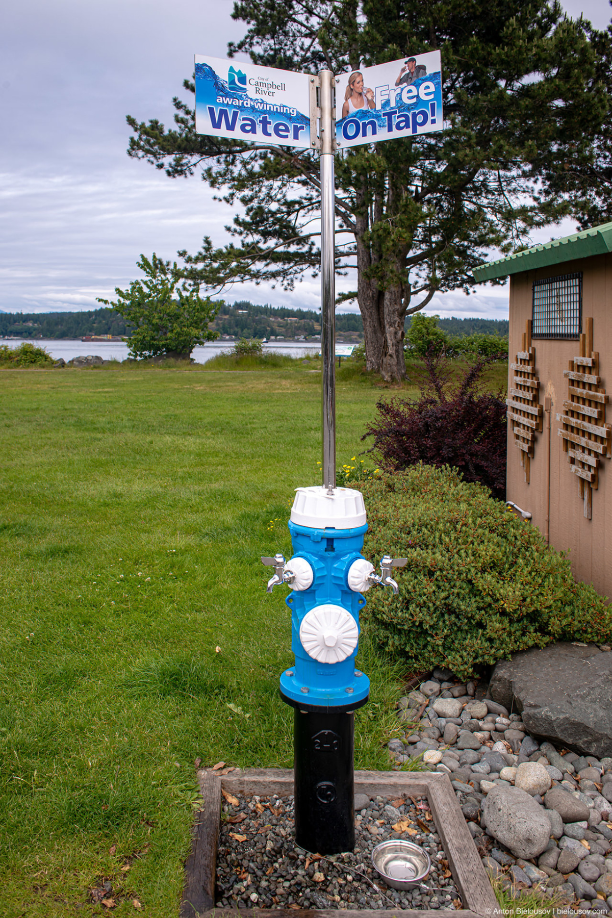 Tap water fire hydrant (Campbell River, BC)