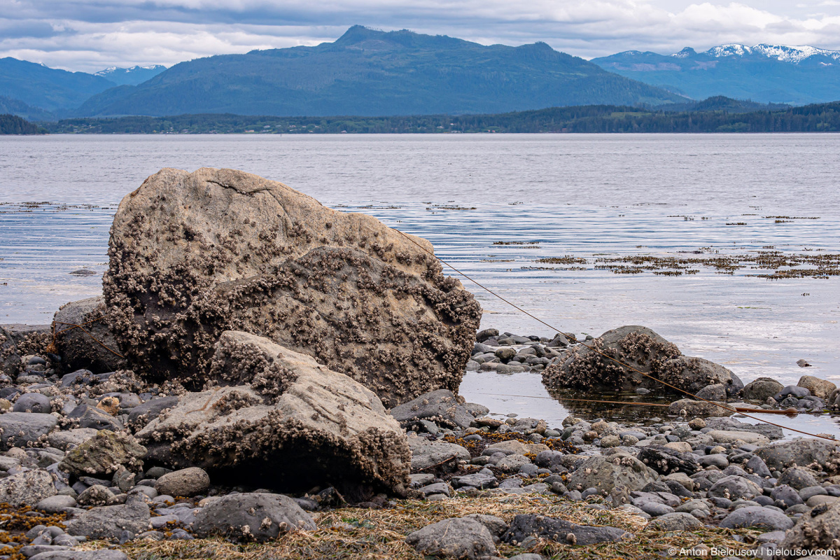 North Vancouver Island mountains