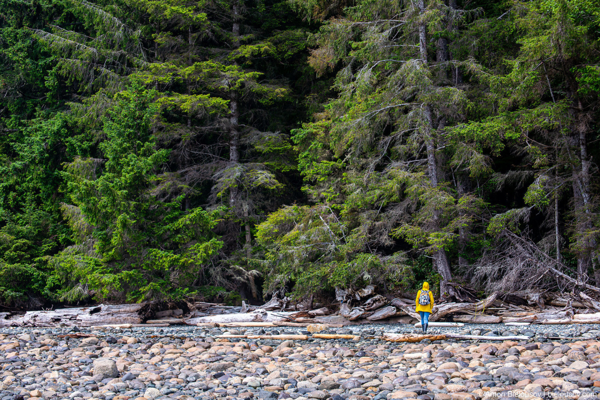 Malcolm Island, BC