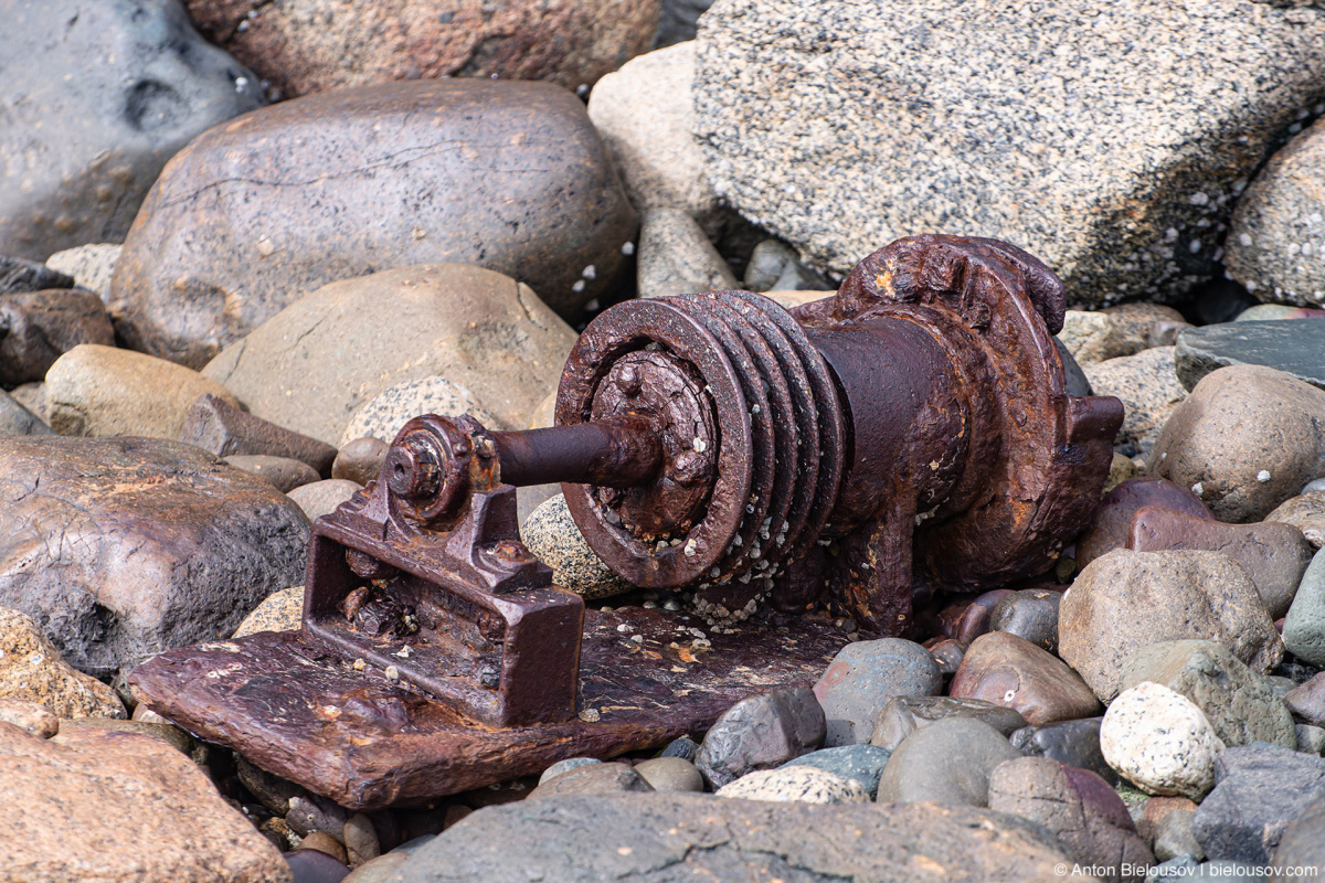 Beachcombing (Malcolm Island, BC)