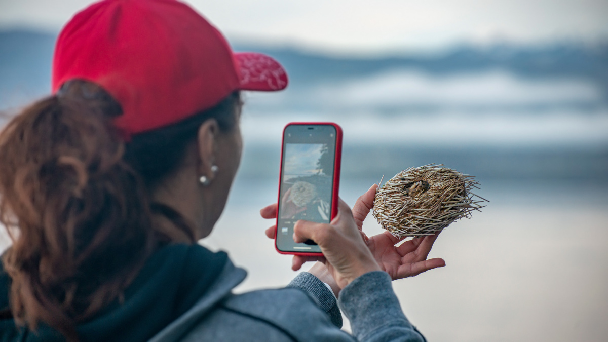 Beach combing (Malcolm Island, BC)