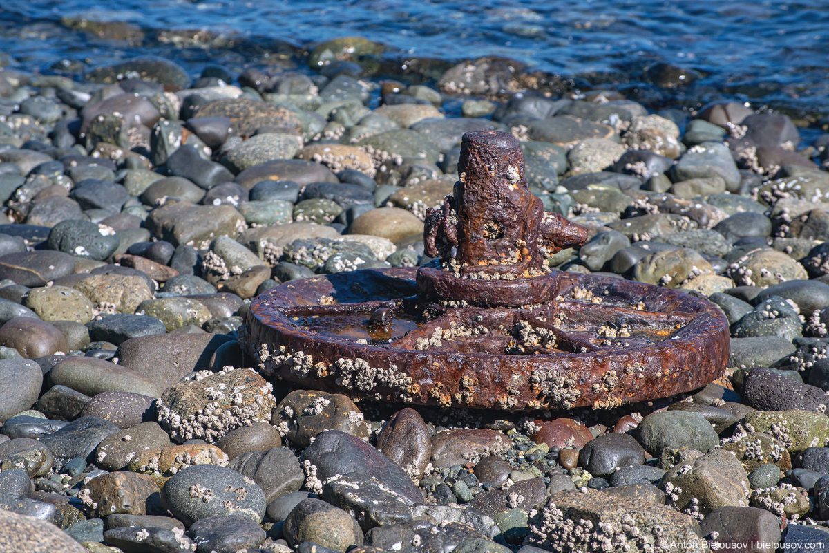 Beachcombing (Malcolm Island, BC)