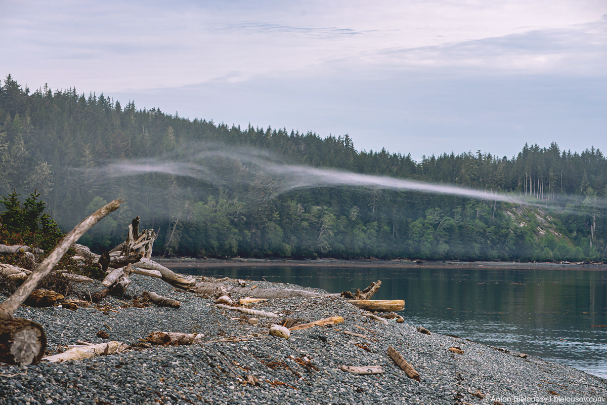 Bere Point, Malcolm Island, BC