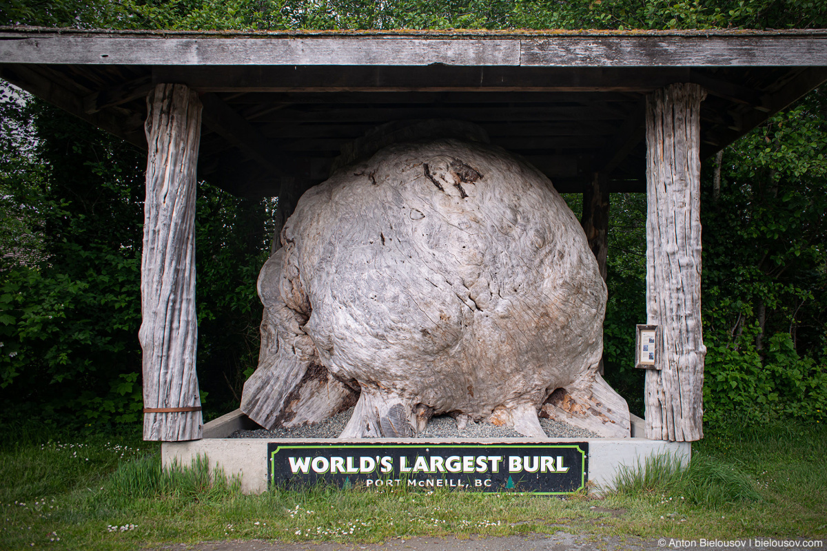 World's Largest Brul (Port McNeil, BC)