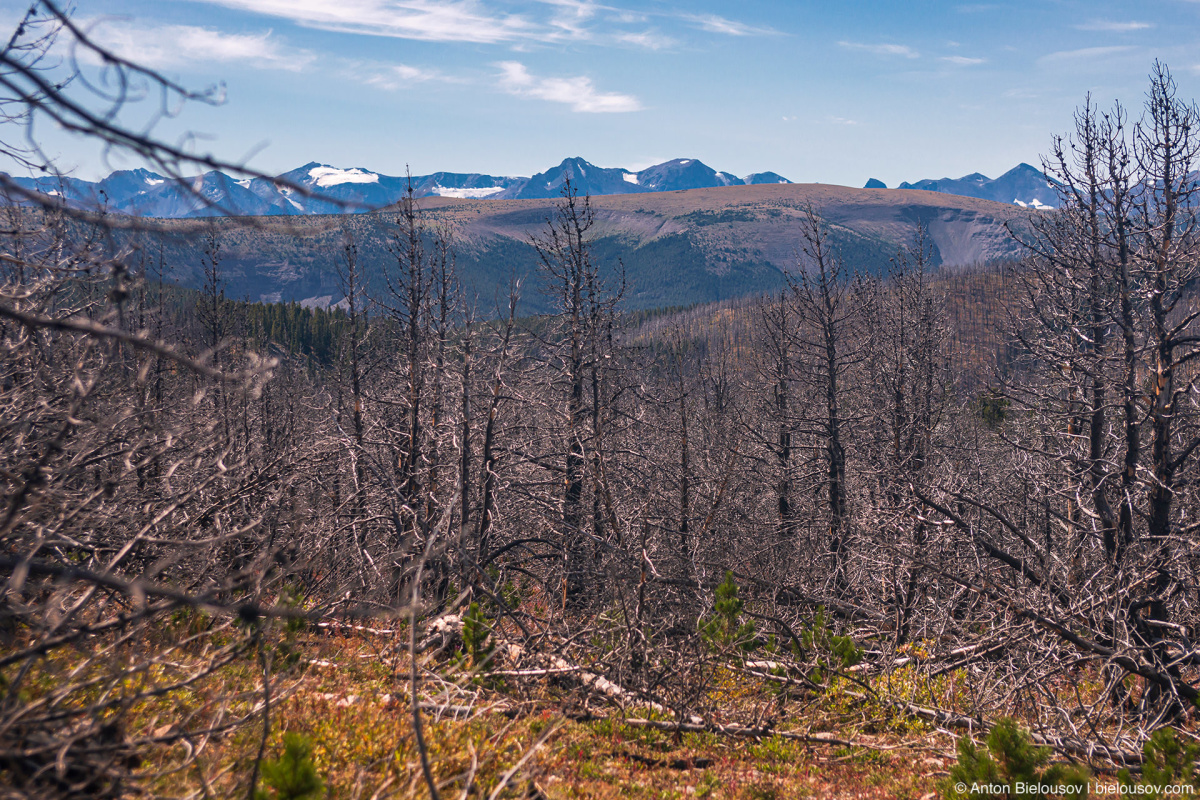 China Head Mountain