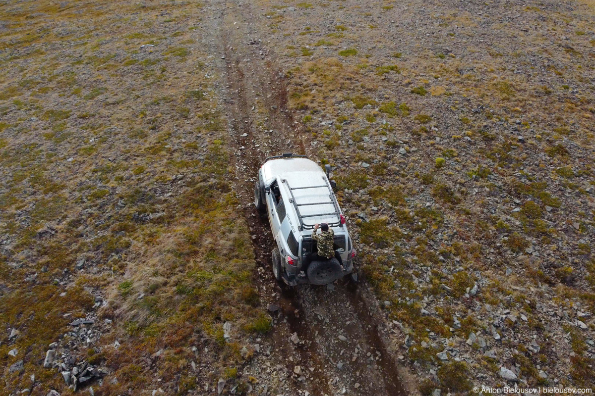 Toyota FJ Cruiser