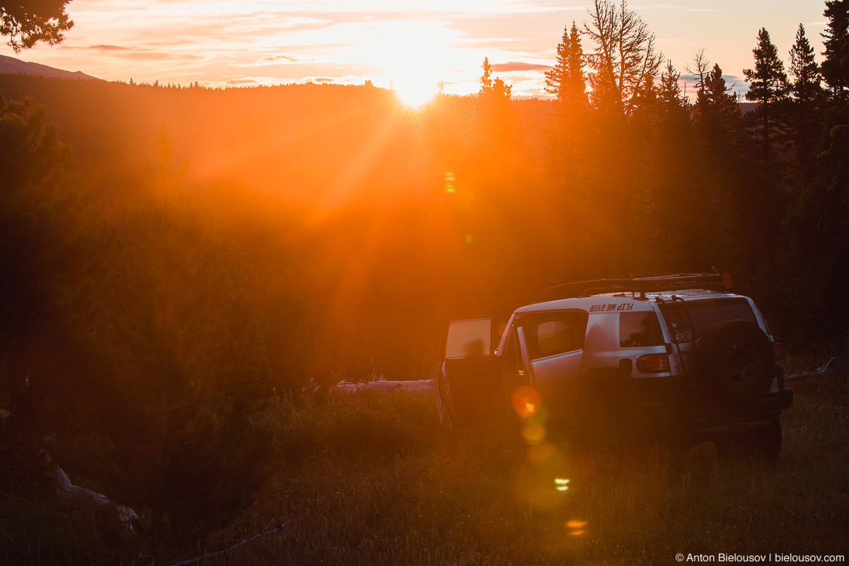 Toyota FJ Cruiser