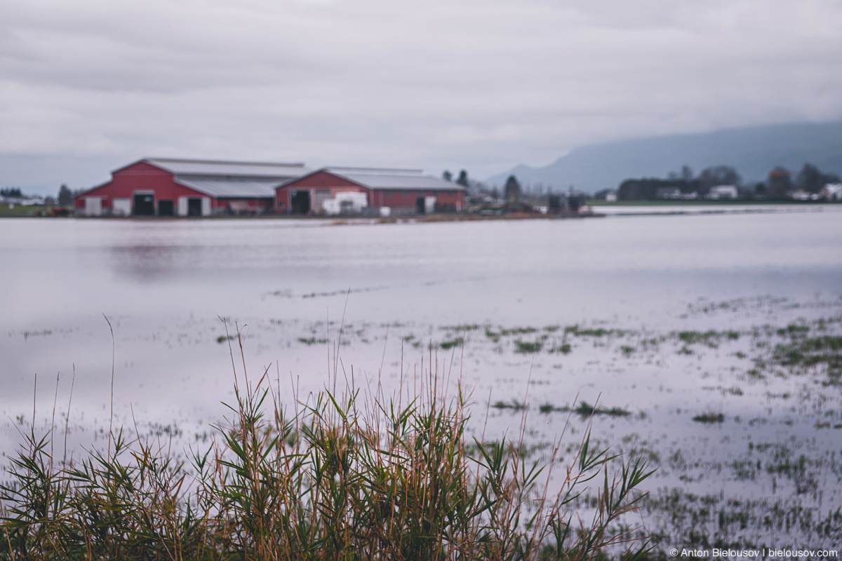 Vancouver Pacific Northwest Flood — Abbotsford