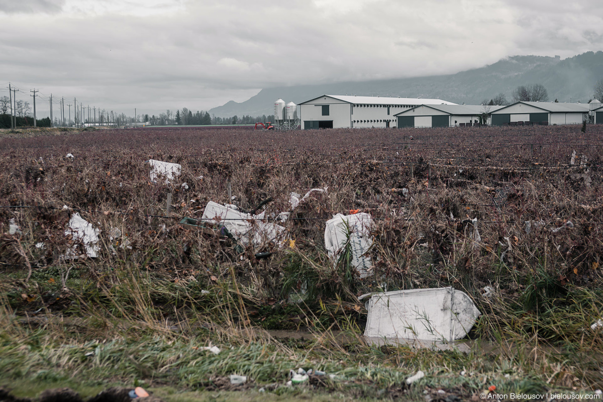 Vancouver Pacific Northwest Flood — Abbotsford