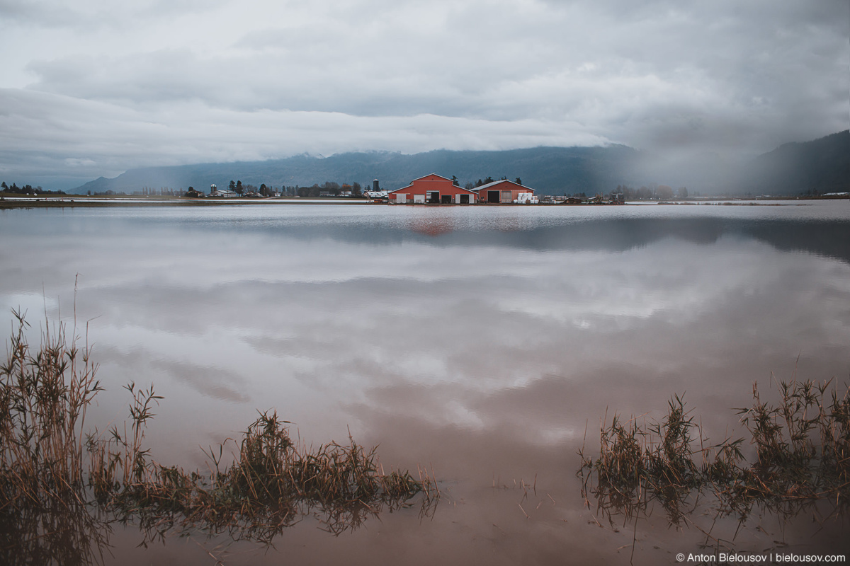 Vancouver Pacific Northwest Flood — Abbotsford