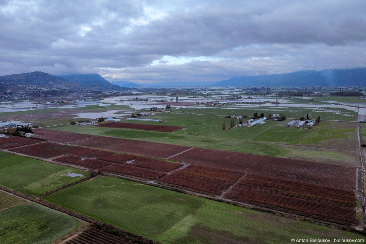 Sumas Lake