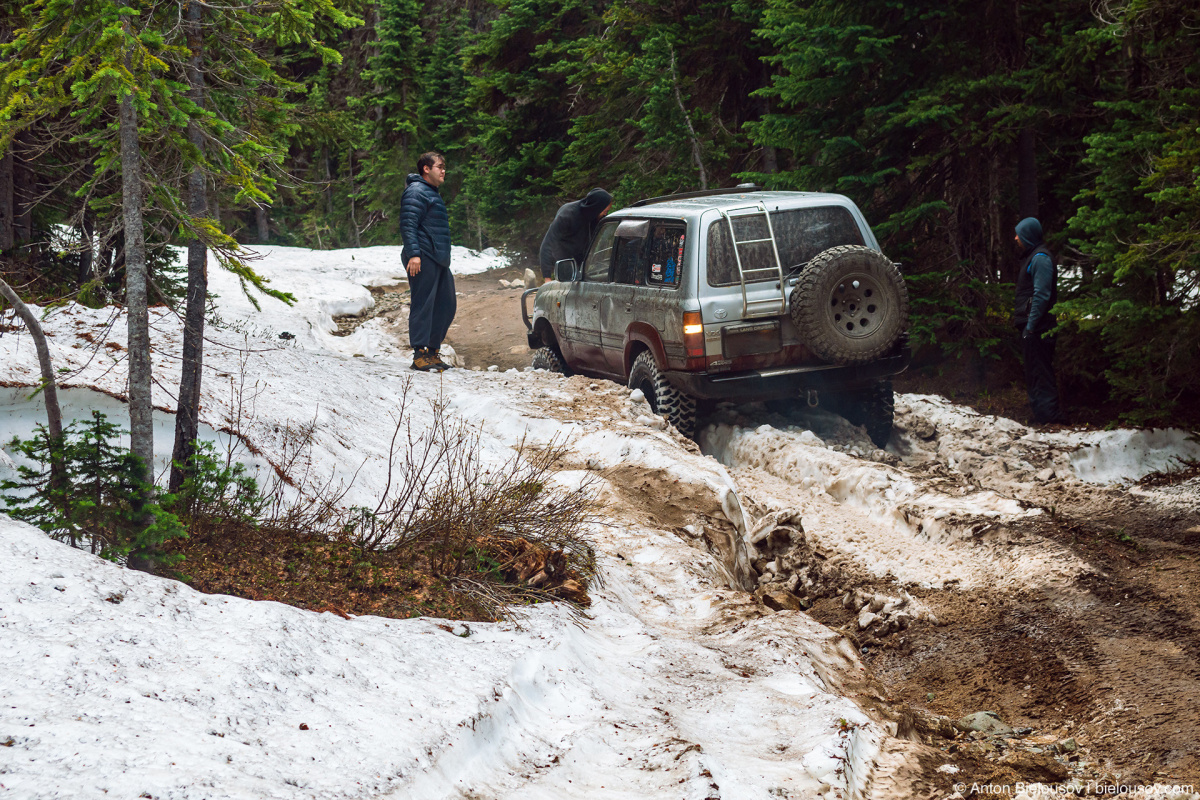 Whipsaw rescue: snow patches