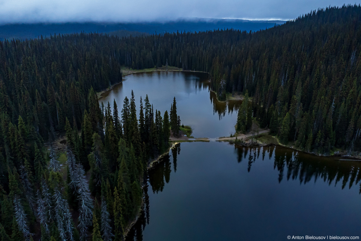 Whipsaw rescue: Wells Lake