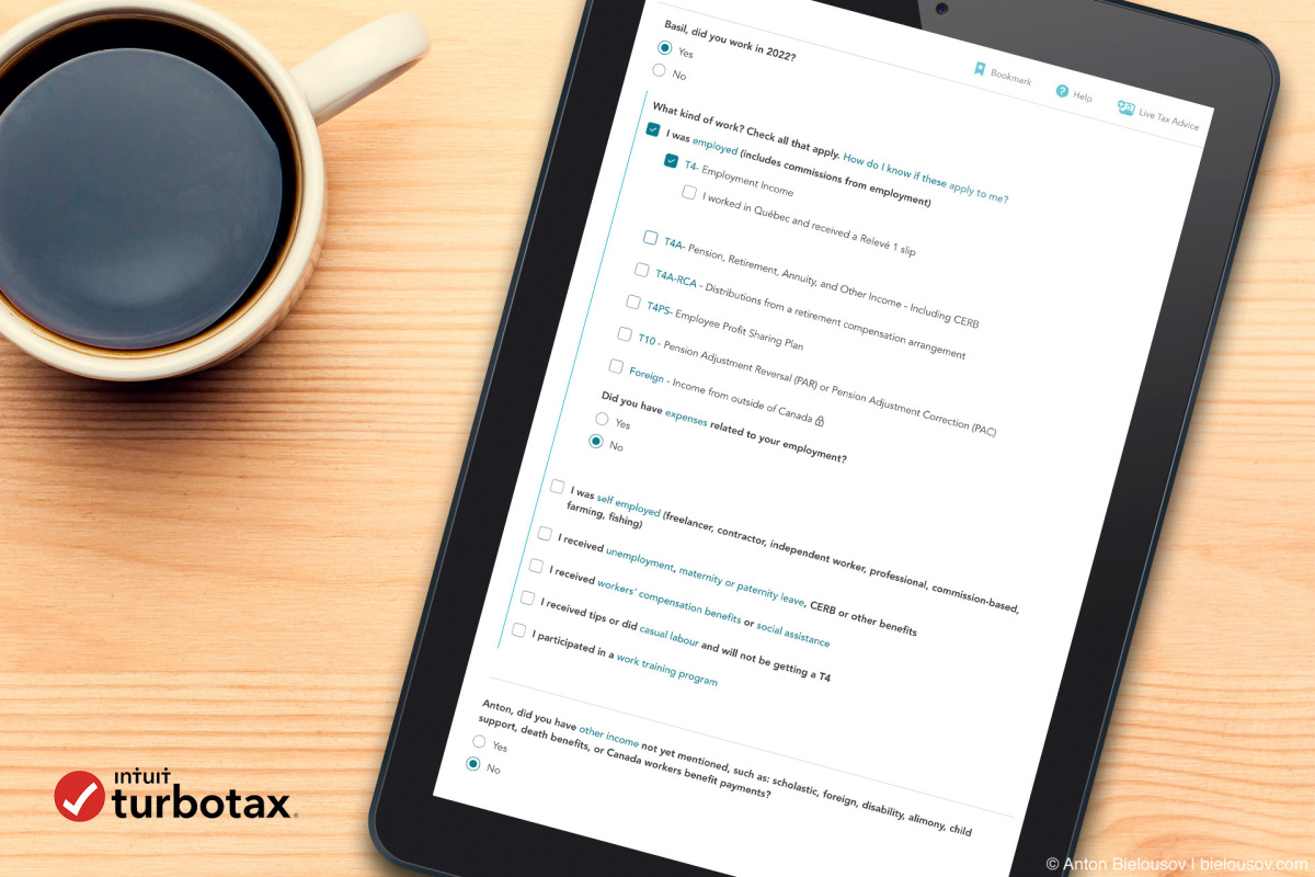 TurboTax Employment interview form
