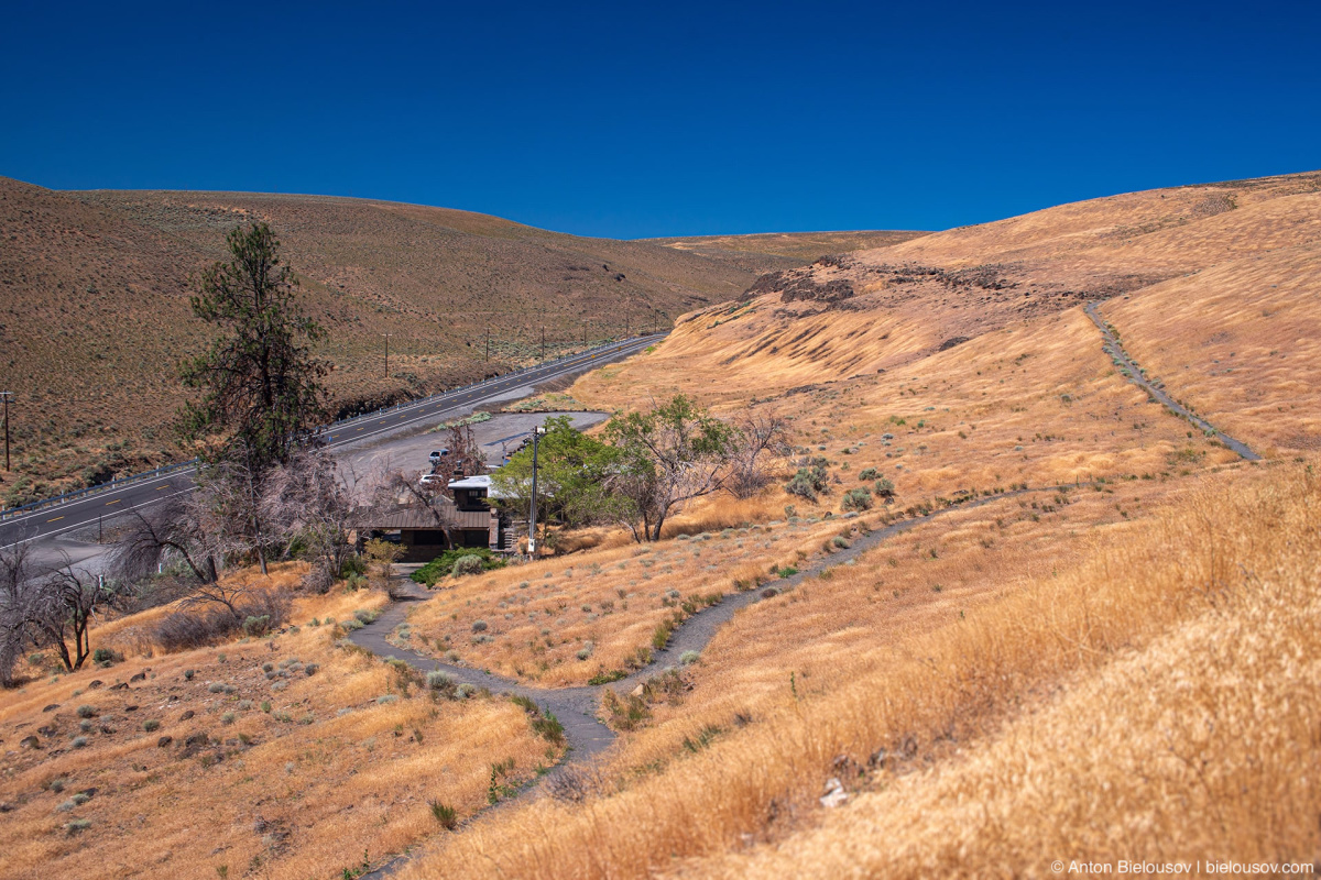 Ginkgo Petrified Forest Interpritive Trail