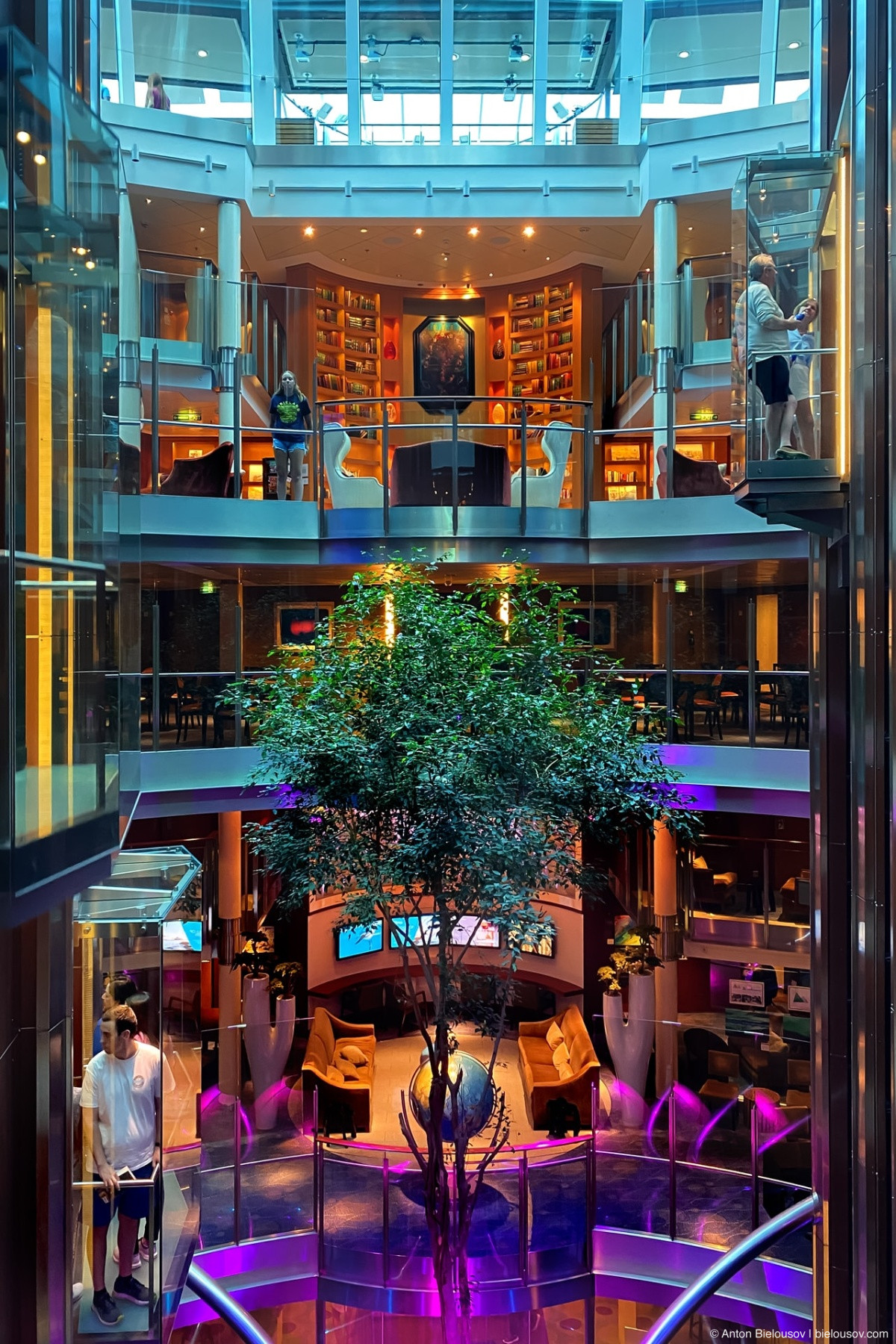 Celebrity Eclipse elevators