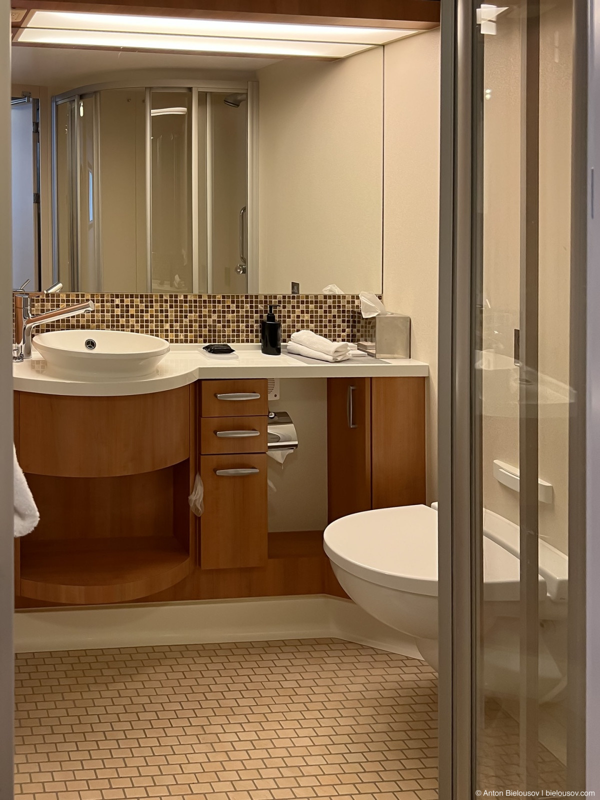 Celebrity Eclipse veranda stateroom washroom