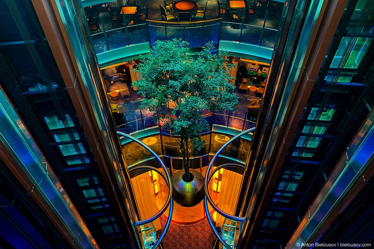 Celebrity Eclipse elevators and tree