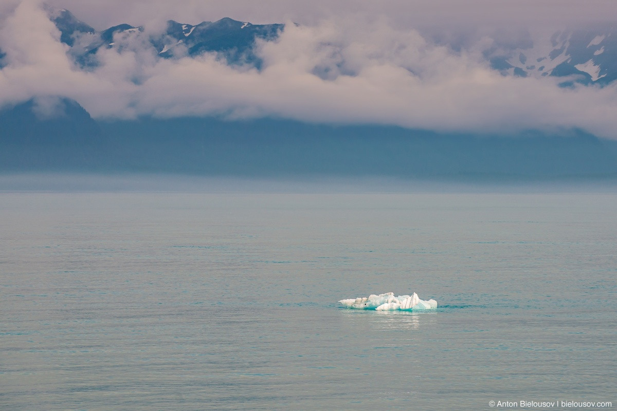 Disenchantment Bay iceberg