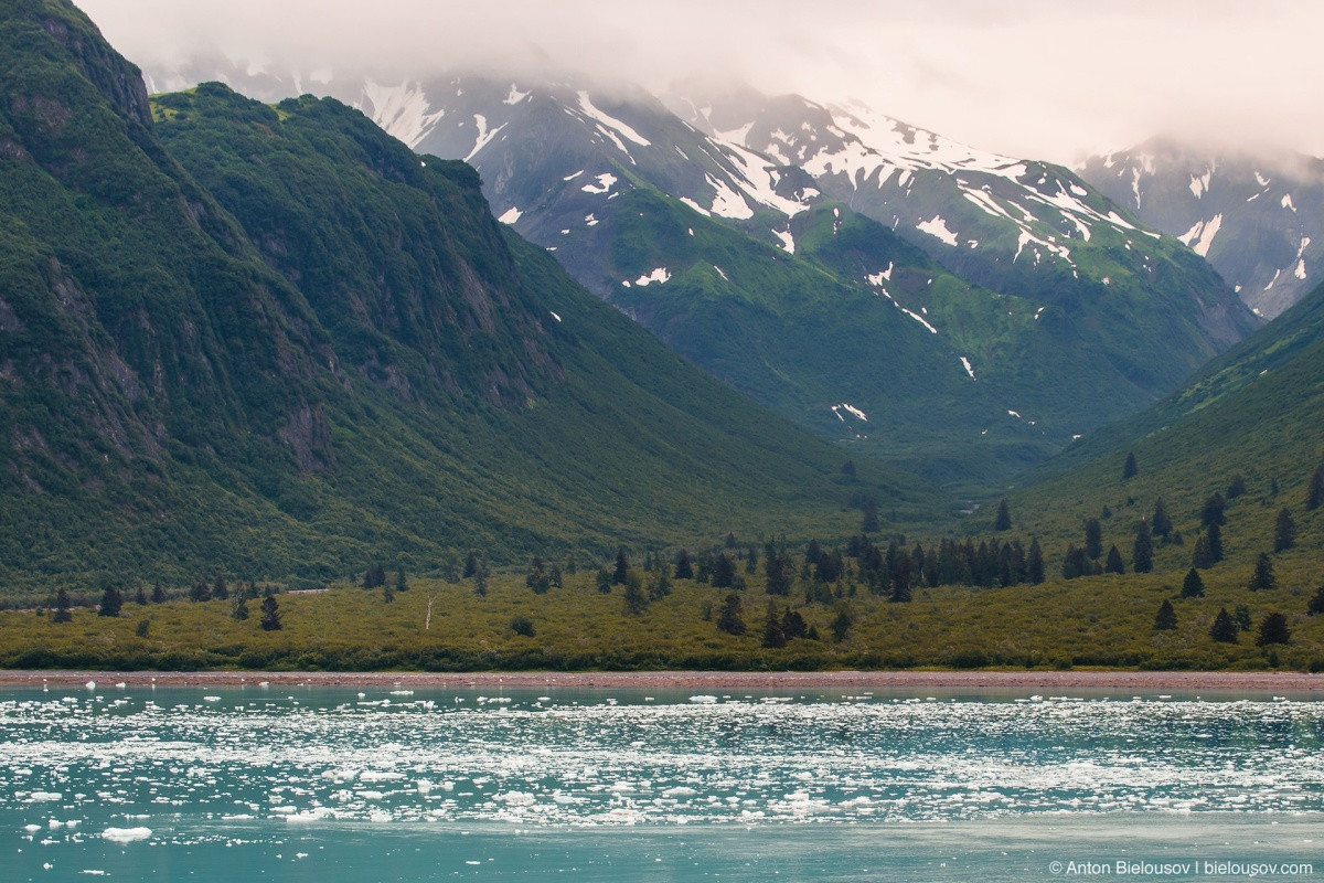 Disenchantment Bay ice