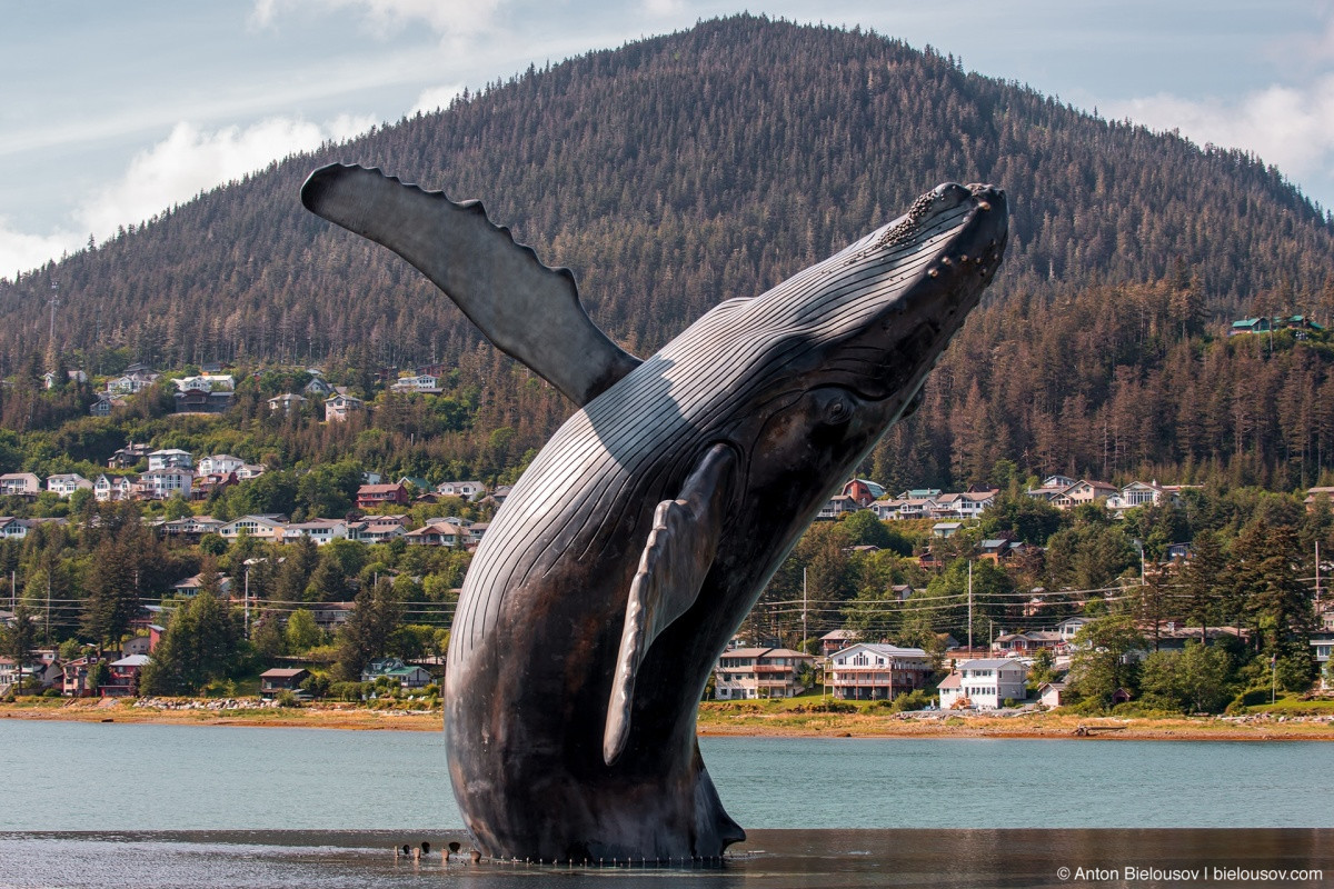 Whale project — Juneau, AK