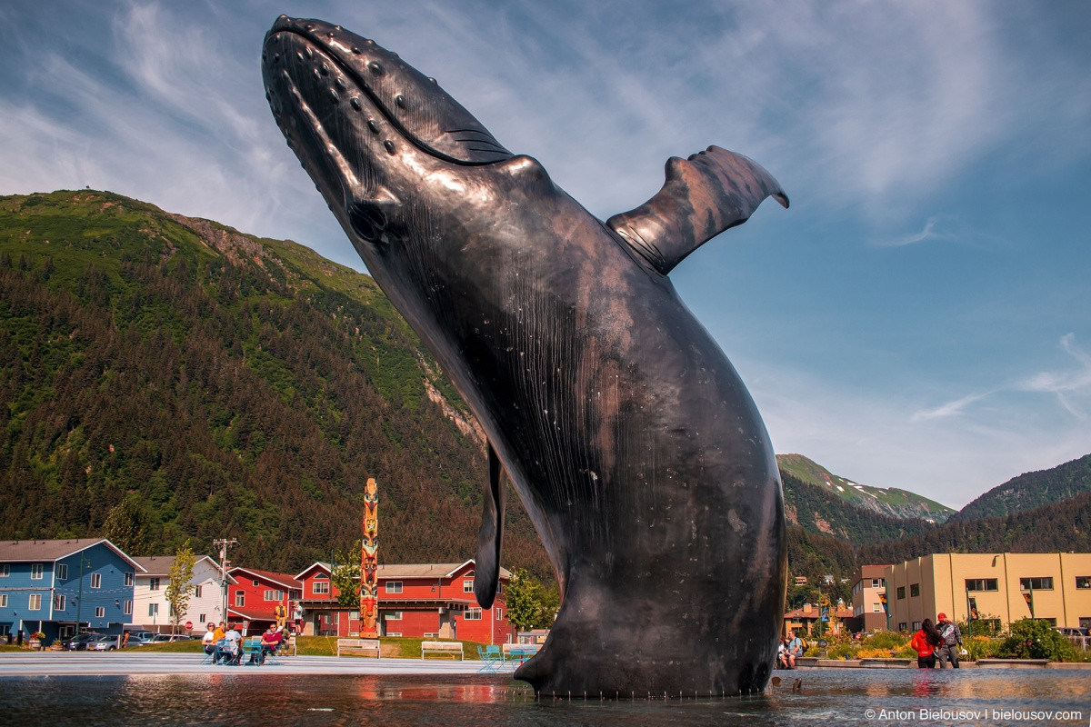 Whale project — Juneau, AK