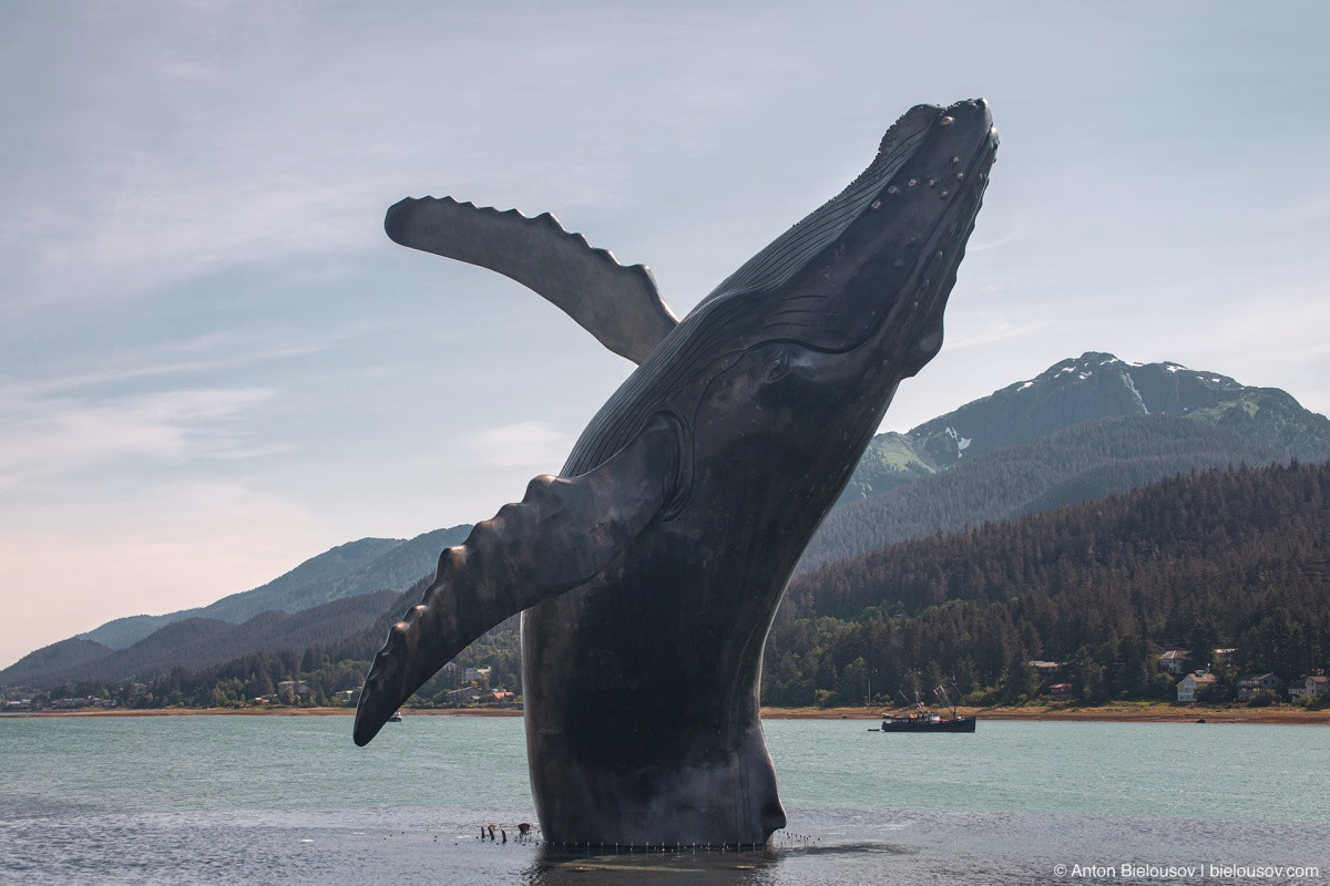 The Whale Project (Juneau, AK)