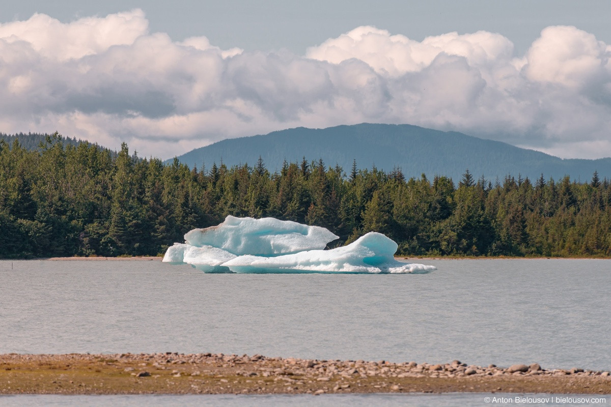 Mendenhall Lake icebergs (Juneau, AK)