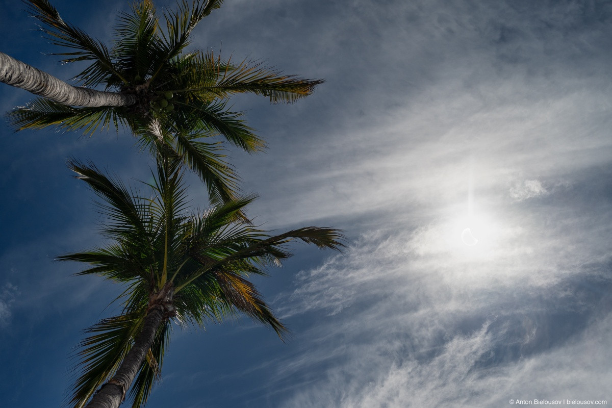 2024 Solar Eclipse, Mazatlan, MX