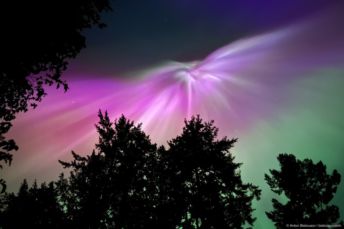 Aurora Borealis at Sunshine Coast, BC