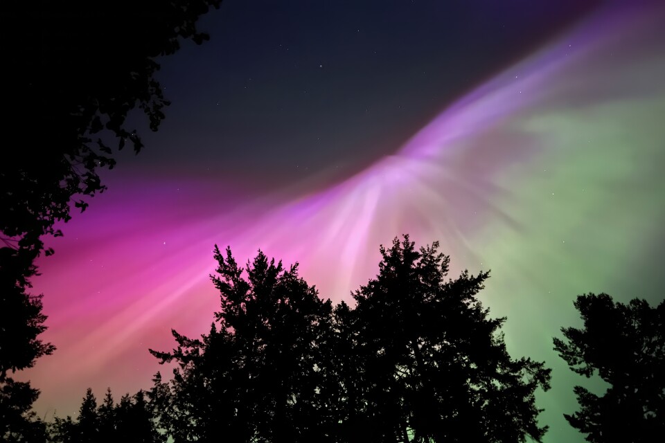 Aurora Borealis at Sunshine Coast, BC