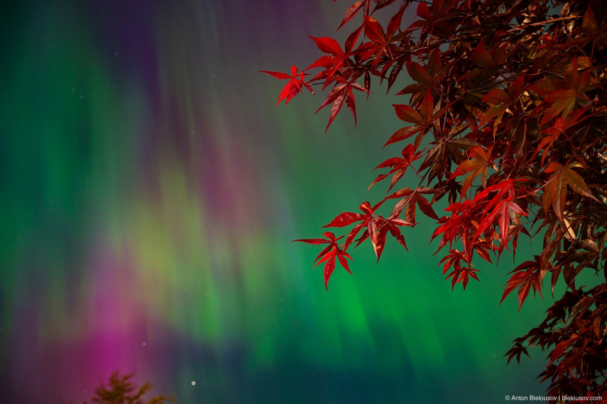 Aurora Borealis in Vancouver, BC