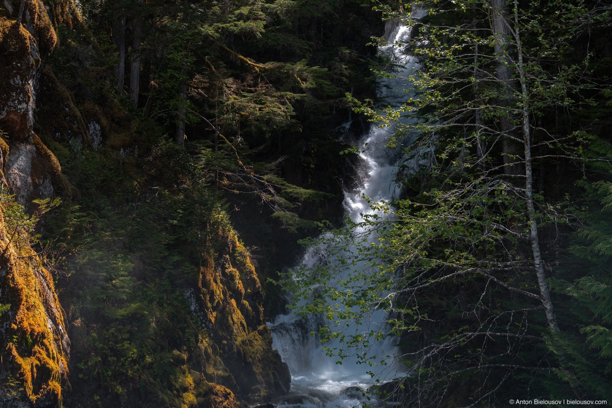 Harrison Mills Waterfall