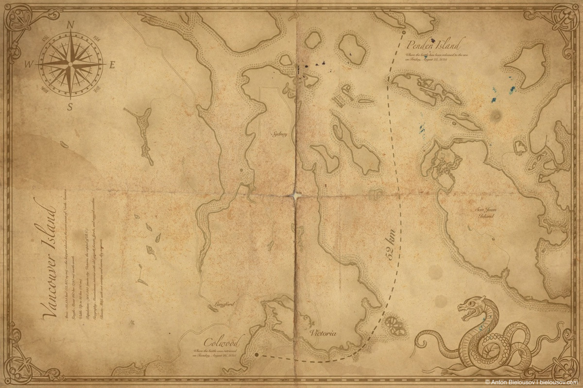 Message in a bottle path