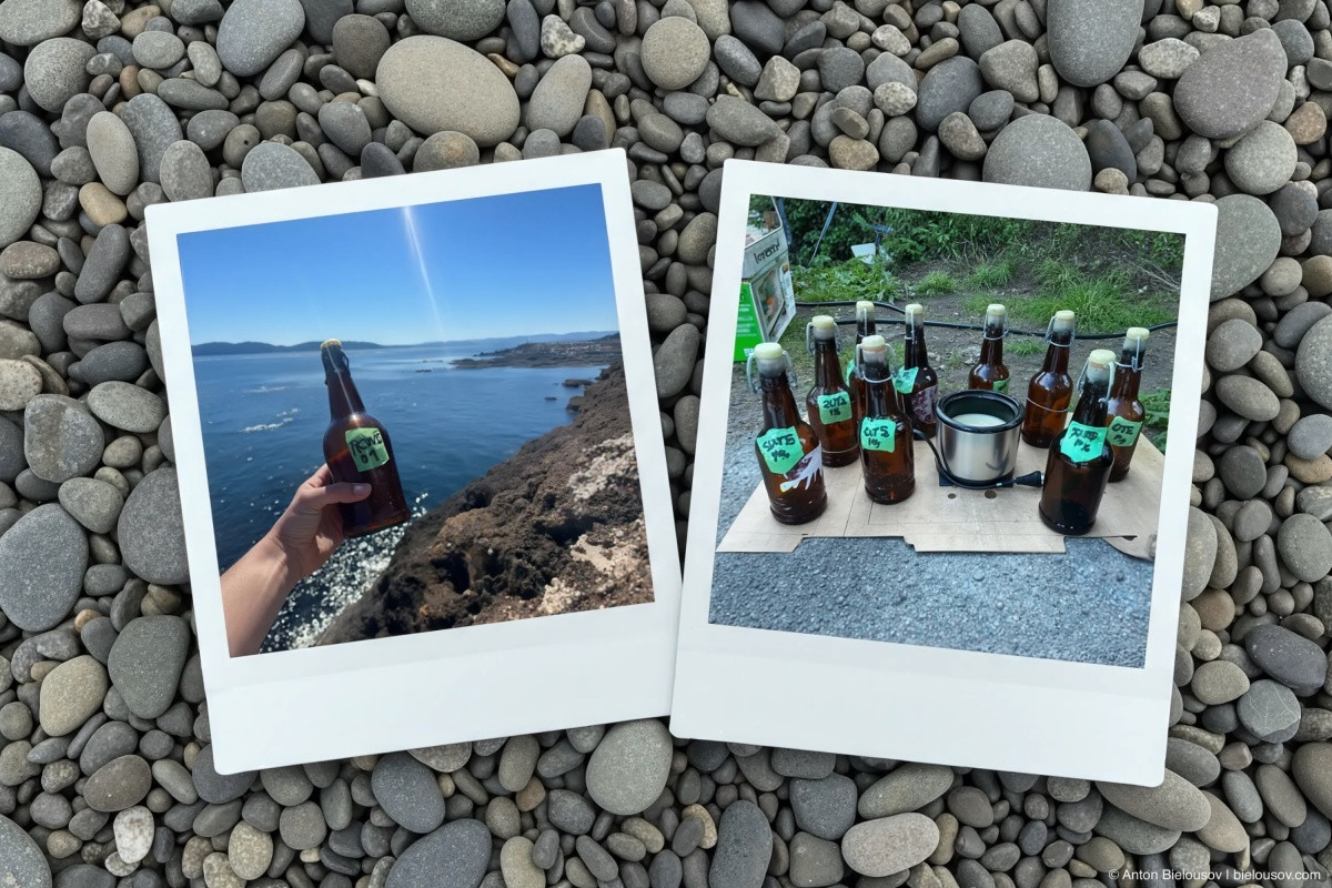 Message in a bottle release